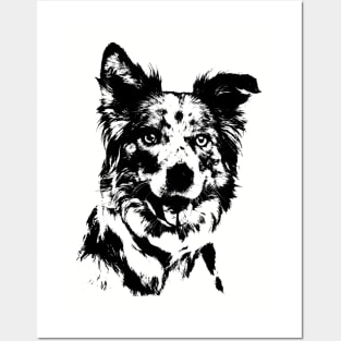Border Collie Posters and Art